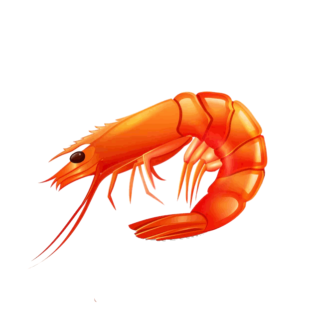 shrimp4.gif