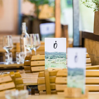 Gastgarten Weingut Österreicher am Großheuriger