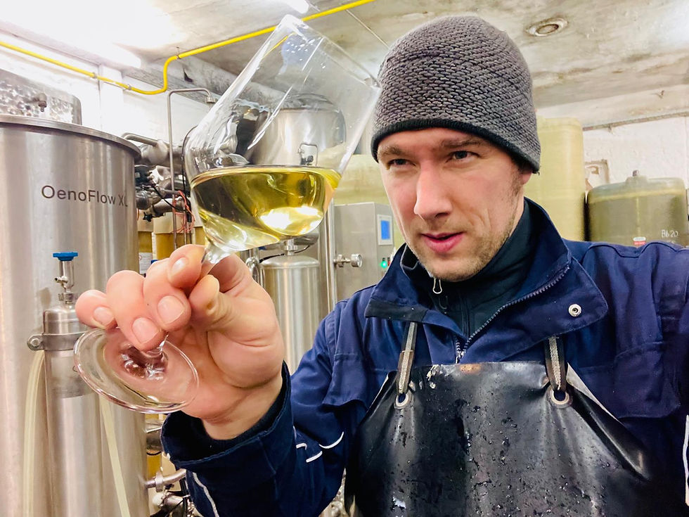 Stefan Österreicher beim Jungweinverkosten