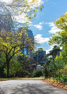 fortgreeneshutterstock_1545561644.jpg