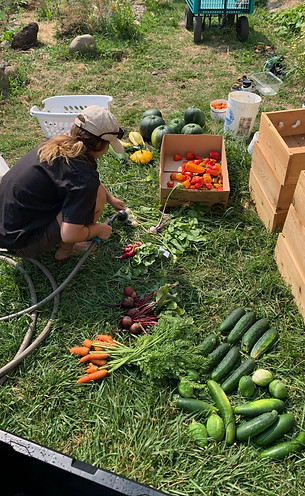 garden2 - 1.jpeg