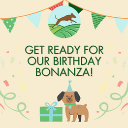 Field for Dogs Turns 1: Join Us for a Month-Long Birthday Bonanza! 🎉