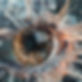 AKASHA - EYE (Sal Stapleton).jpg