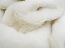 Ivory Alpaca (Alpaca Ivory).jpg