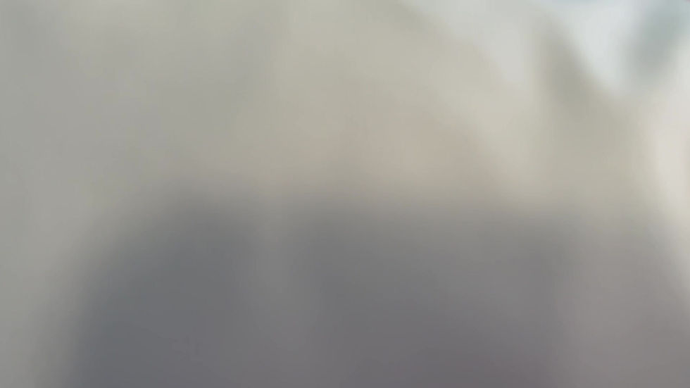 PINK LAMB DESIGNER Pillow Cover features a whimsical pink lamb design on a white cotton background with an invisible zipper.