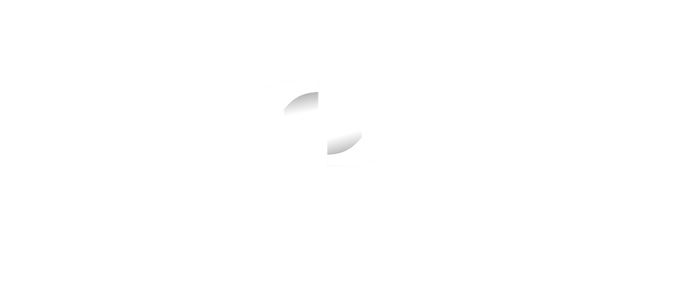 Logo Pavei Brands - versão negativo - branco.png