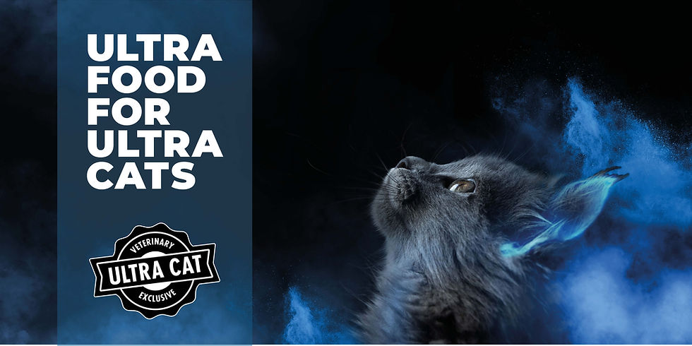 Ultra Cat 300x600 #1