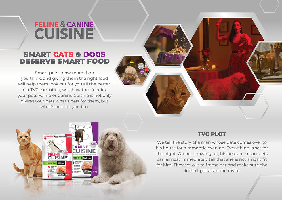 Canine and Feline Cuisine