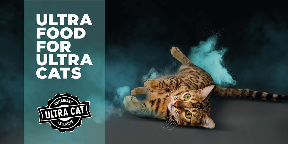 Ultra Cat 300x600 #15