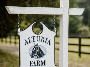 Peter & Laura | A July Wedding at Alturia Farm | By Virginia Wedding Photographer Lindsay Jane