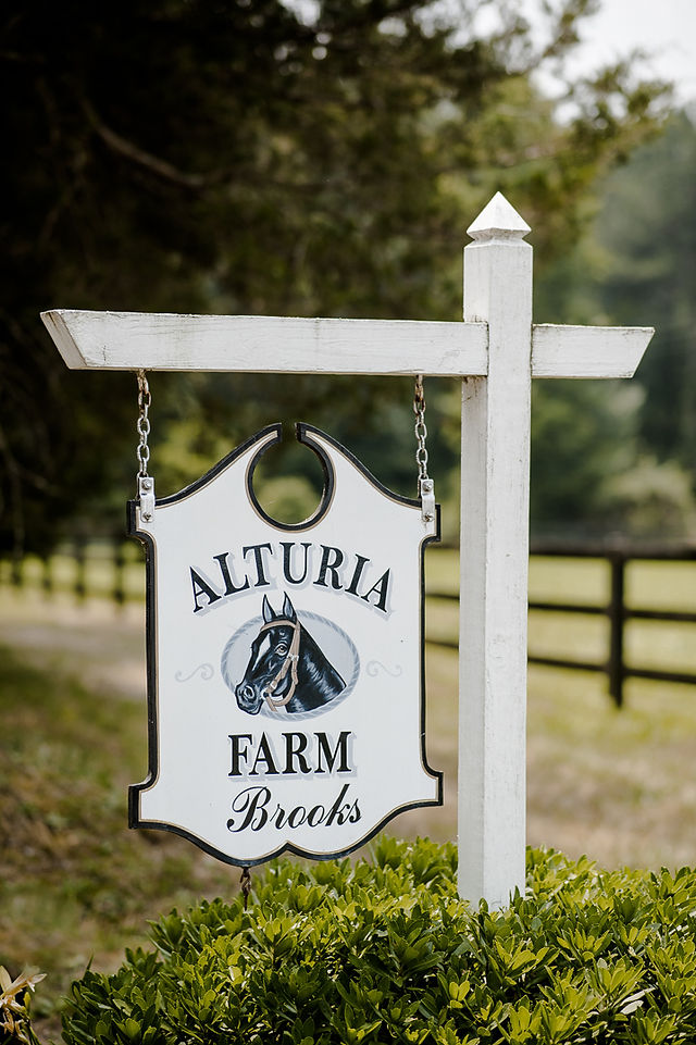 Virginia Wedding Photographer