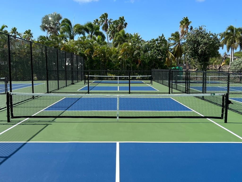 Agile Courts Pickleball Net