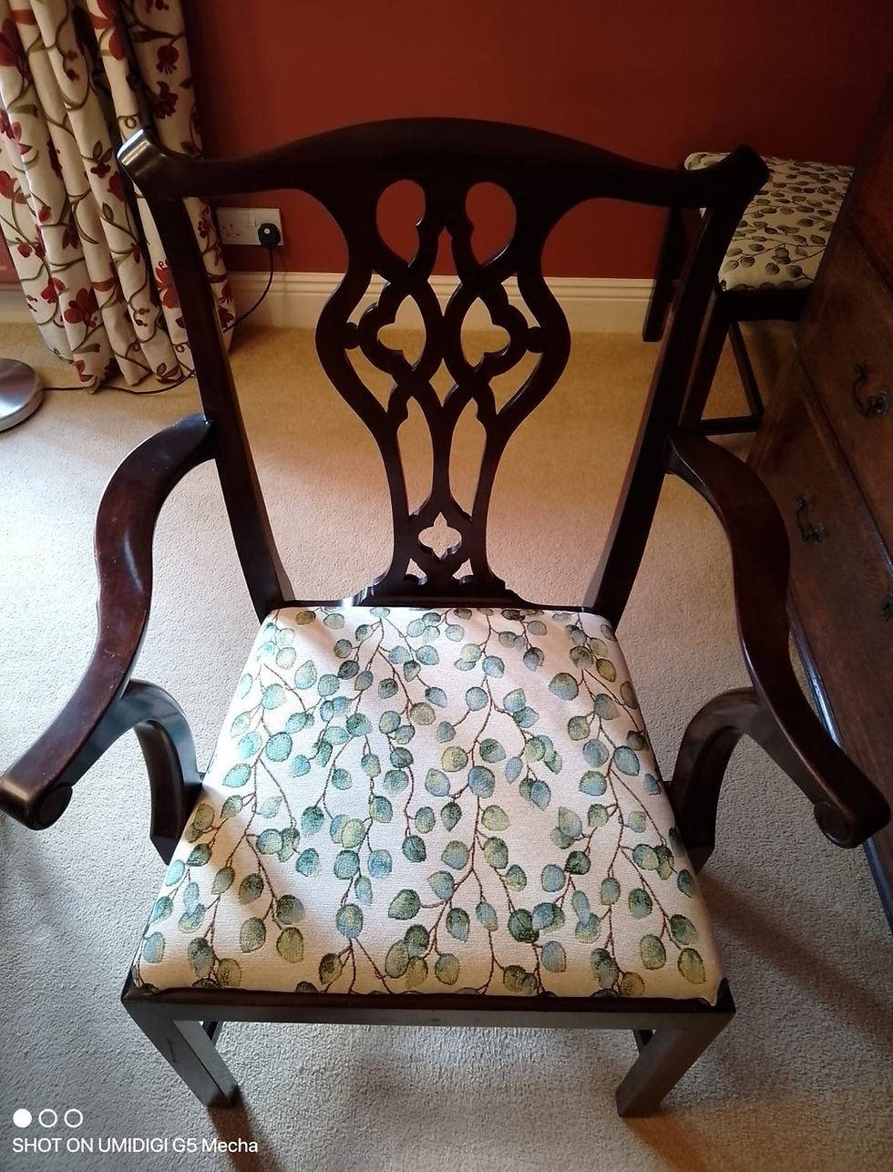 Restoring a Suite of Family Heirloom Dining Chairs in Dorset