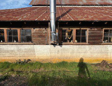 Sandy River Studio barn