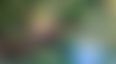 El Jordán, el camino de la sumisión