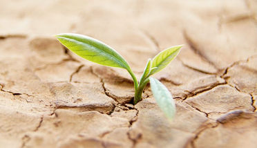 Para cada final, hay un recomienzo