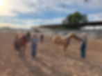 Uintah County Fair Halter Show