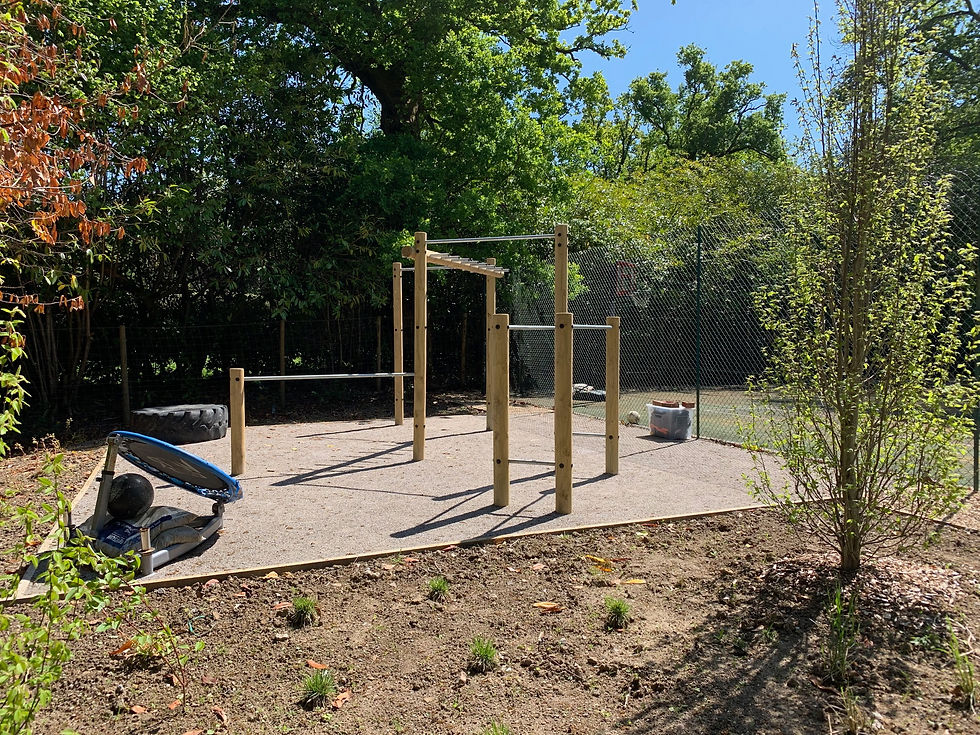 outdoor gym with monkey bars, pull up and dip station