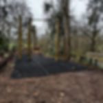 Monkey bar ladder & pull up bar