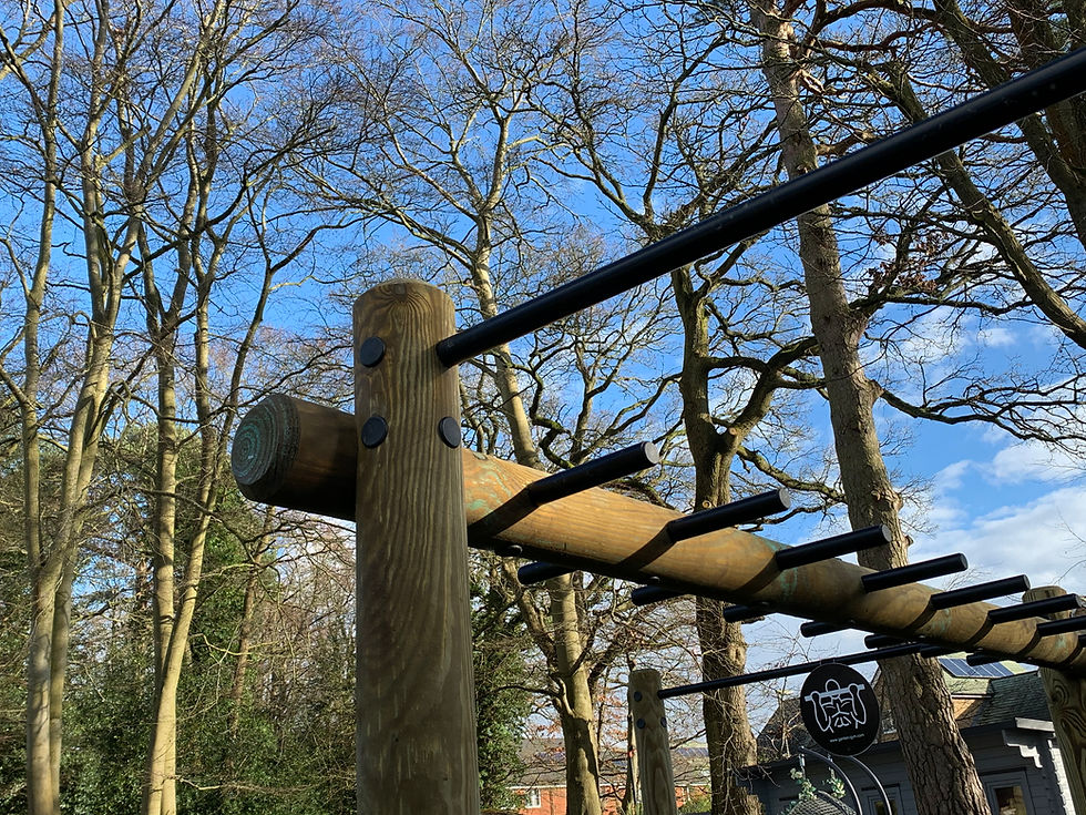 Thumbnail: Double pull up, dip and monkey bars