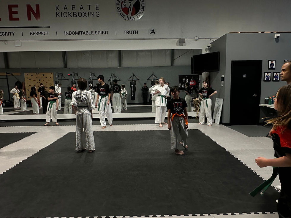 Capicio Zen Karate and Kickboxing Intermediate Karate Class