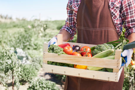 186 milioni dall'Unione Europea per promuovere i prodotti agroalimentari.