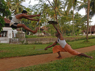 Путь воина: уроки древнего боевого искусства во дворце аюрведы Kalari Kovilakom, Индия