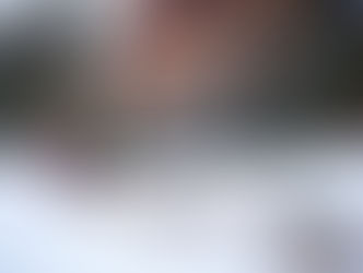 Скиджоринг и экспедиции на собачьих упряжках – les Airelles Courchevel открывает зимний сезон