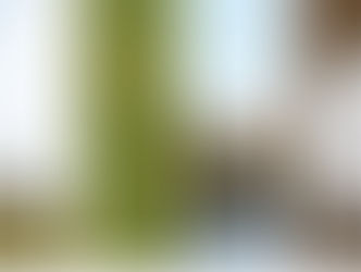 О вкусной и здоровой пище: у шеф-повара отеля Les Sources de Caudalie в Бордо вышла книга рецептов