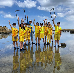 120292133_870091096858373_38182125821413