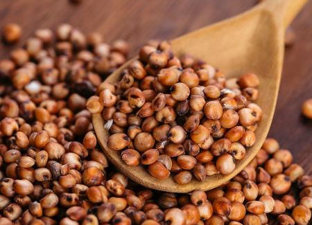 graos-de-sorgo-1557263807971_v2_450x337.jpg