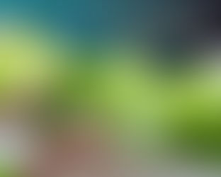 ไอเดียการปลูกผักสวนครัวสำหรับบ้านจัดสรร