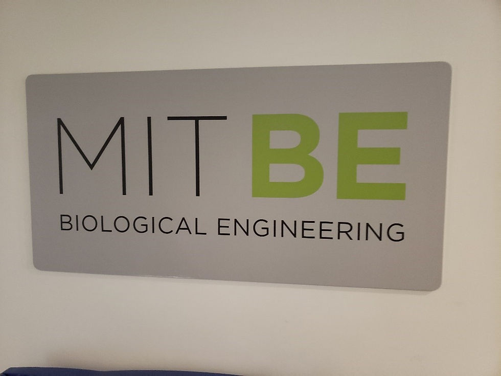 MIT Building 56