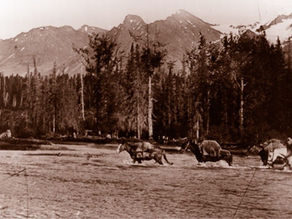 Le réservoir | The Réservoir