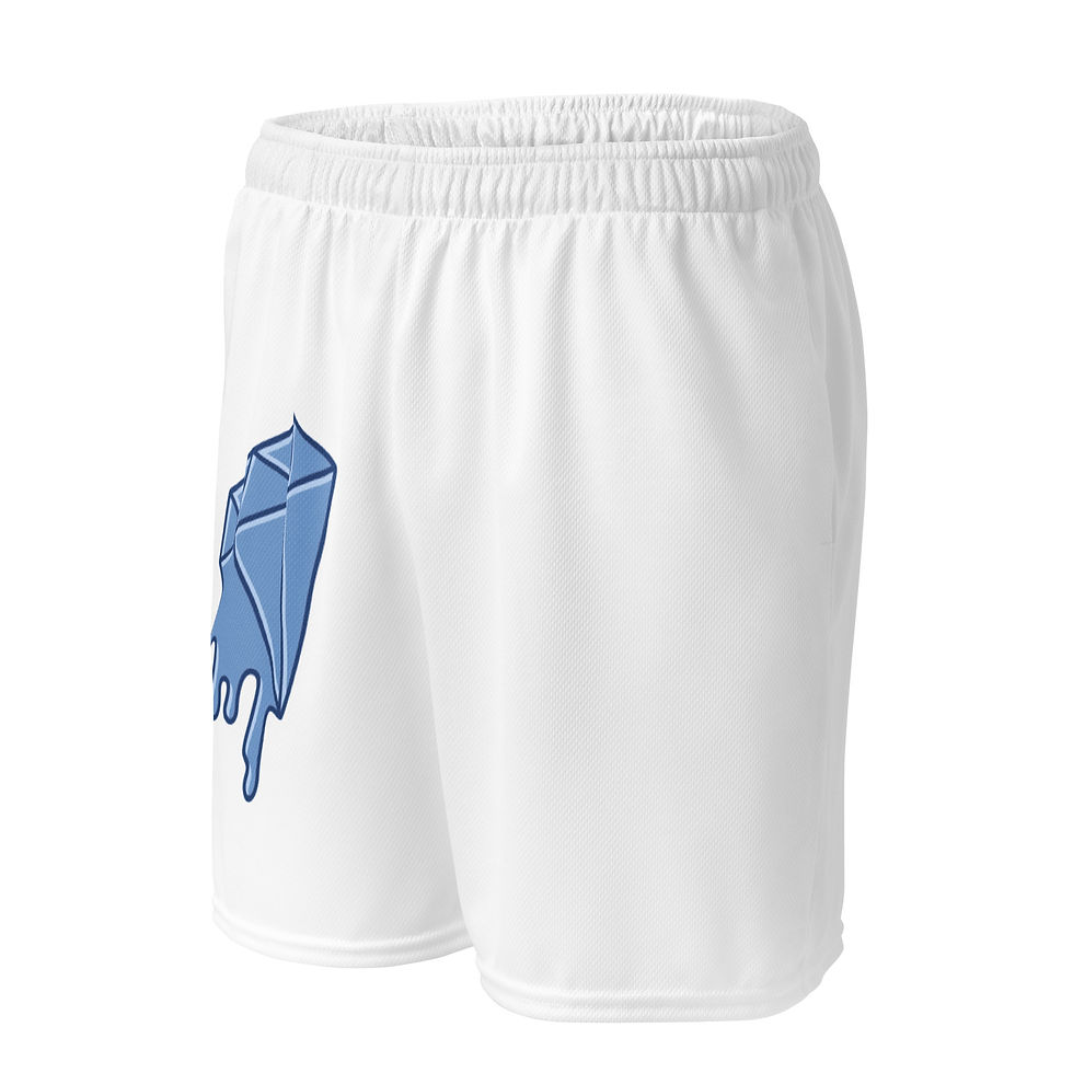 Thumbnail: Unisex mesh shorts