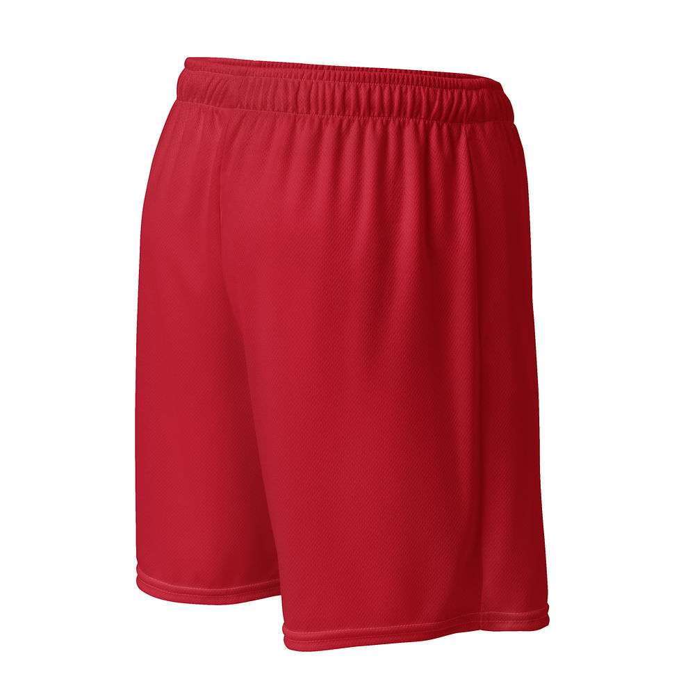 Thumbnail: Unisex mesh shorts