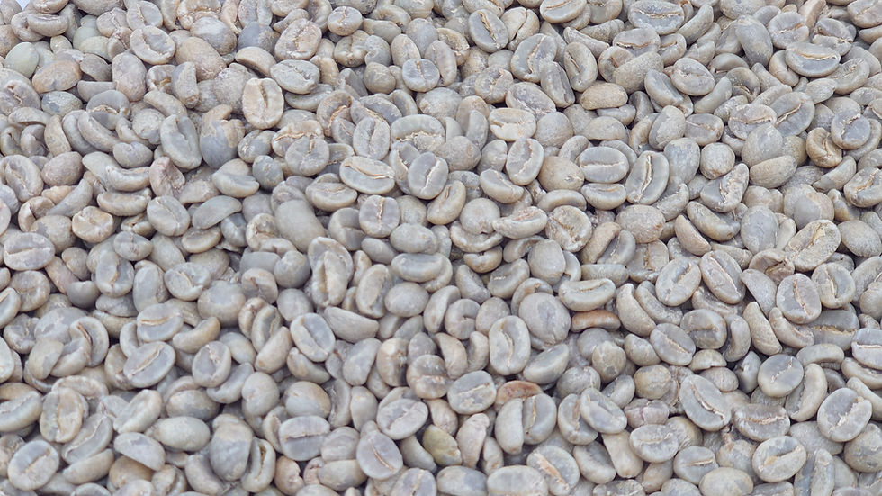 縮圖：巴拿馬 聖塔特瑞莎 莊園協奏曲 - 0.5lb