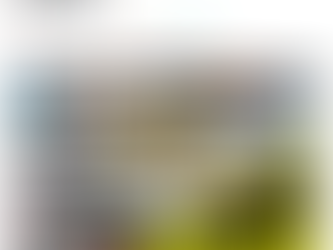 Webcrafted Excellence: Boost Your Business with a Stunning WordPress Website