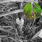 Um marco topografico redondo com a ponta do bastão em seu eixo indicando que os pontos são coletados de forma precisa