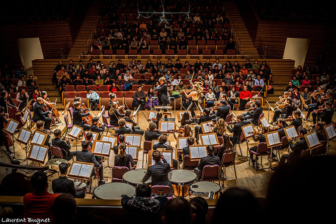prestation orchestre avec nicolas krauze
