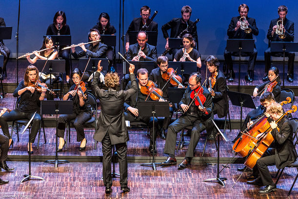 prestation orchestre avec nicolas krauze