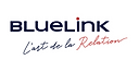 logo bluelink