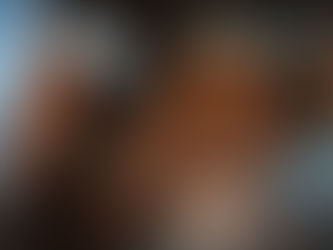 sièges en cuir auto marron