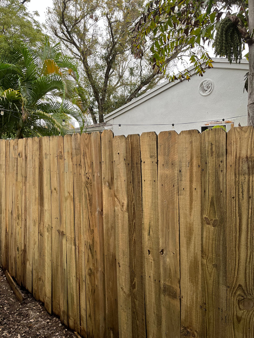 Fence 2 After