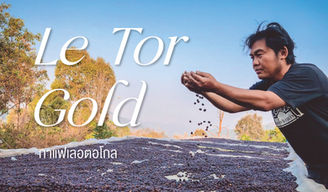 • กาแฟเลอตอโกล - Le Tor Gold •