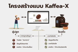 Kaffea-X กับโครงสร้างตลาดใหม่ของสารกาแฟ