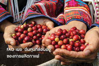FAO เผย ‘ต้นทุนที่ซ่อนอยู่’ ของการผลิตกาแฟ