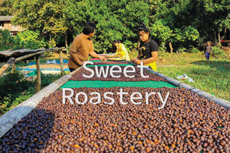 Sweet Roastery