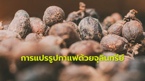 การแปรรูปกาแฟด้วยจุลินทรีย์