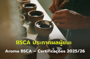 BSCA ประกาศผลผู้ชนะ Aroma BSCA – Certificações 2025/26